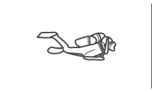 Recreation Dives