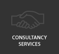Consultancy Services